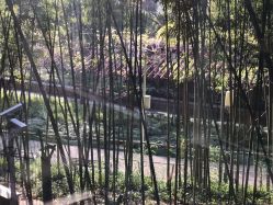 点击看大图 -馨月汇·一悦馨香月子中心(前滩店)