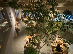 -KimPro 辛普乐概念韩餐