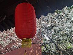 -钱王祠