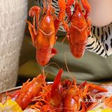拙味兄弟龙虾🦞开到北仑啦！金汤蒜泥味绝了！