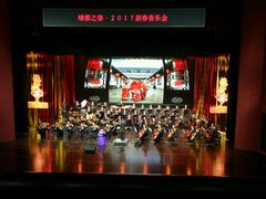 -合肥大剧院