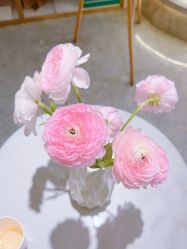 -MIDA蜜哒•科技逆龄美肤连锁