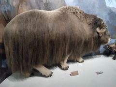 -陕西自然博物馆