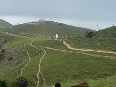 -大姆山草场
