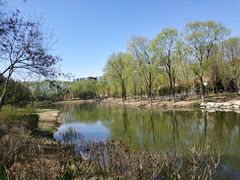 -大兴滨河森林公园