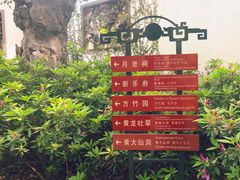 -杭州黄龙洞