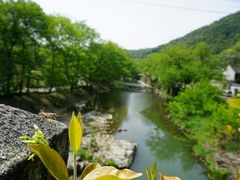 -鹿亭中村