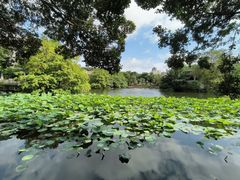 -荔湾湖公园