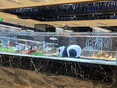 -红辣椒·川菜·火锅(大洋中心店)