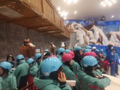 -长沙湘江冰雪世界