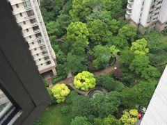 -新湖明珠城