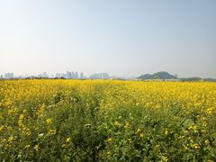 -光明小镇欢乐田园