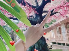 -印象KTV(前进大街店)
