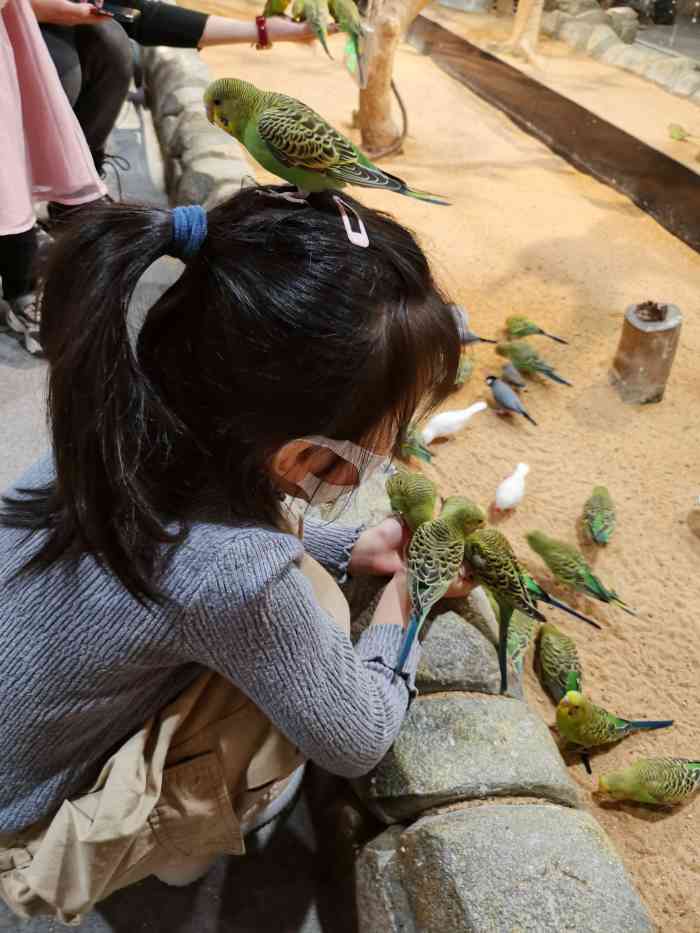 法米動物樂園-