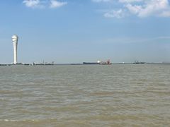 -吴淞炮台湾湿地森林公园烧烤区