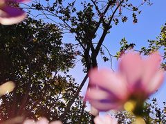 -牛鱼嘴原始生态风景区