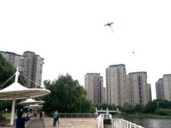 -新江湾城公园