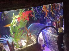 -沈阳海洋探索中心