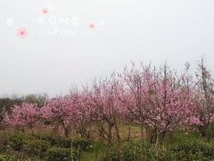 -南京市江宁方山