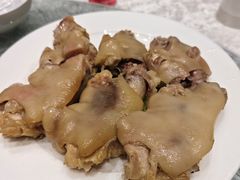 -丁老爷子苏香圆