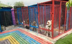 点击看大图 -萌宠亲子动物乐园(槐房万达店)