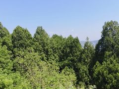 -白佛山景区