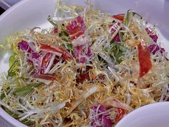 -喜悦烤鸭·新京菜(王府井店)