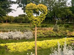 -贡湖湾湿地公园