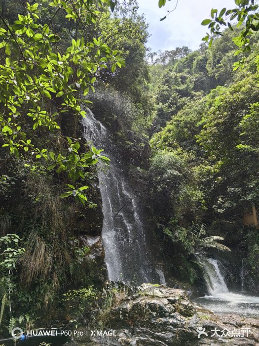 黄金沟旅游风景区图片