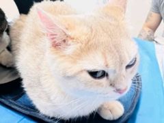 -芭比堂动物医院·CT·微创中心(新顺分院)