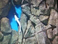 -福州罗源湾海洋世界旅游区