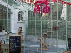 -有猫主题·治愈系猫咖(曾厝垵店)