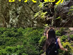 -天目山大树王景区