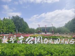 -大望京公园