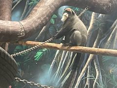 -石家庄市动物园