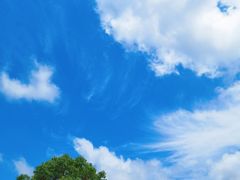 -春花秋色城市公园