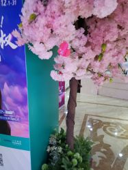 -重庆军美医疗美容医院