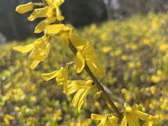 -白塘生态植物园