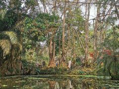 -中国科学院西双版纳热带植物园