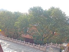 -深圳仙湖植物园