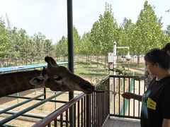 -秦皇岛野生动物园
