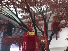 -艾薯夫妇Aysh(福田星河COCOPark店)