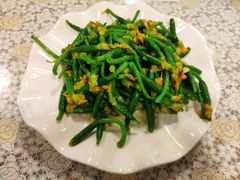炝炒黄瓜苗-文三里屯面馆(三里屯店)