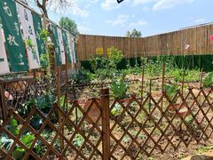 -苏记溪河鲢鱼庄(天府新区店)