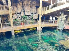 -长鹿旅游休博园
