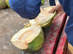 -东郊椰林