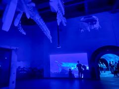 -北戴河圣蓝海洋公园