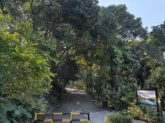 -清溪大王山森林公园