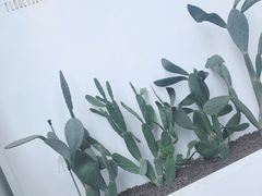 -花沐 FLOWER BATH(凤凰城店)