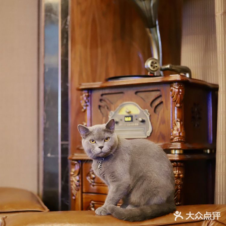 深圳｜最酷最专业的男士理发工作室